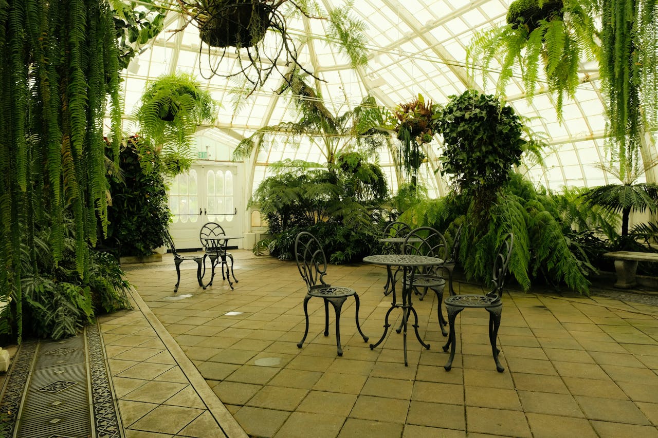 Beautiful greenhouse interior with lush plants and ornate metal chairs and tables.