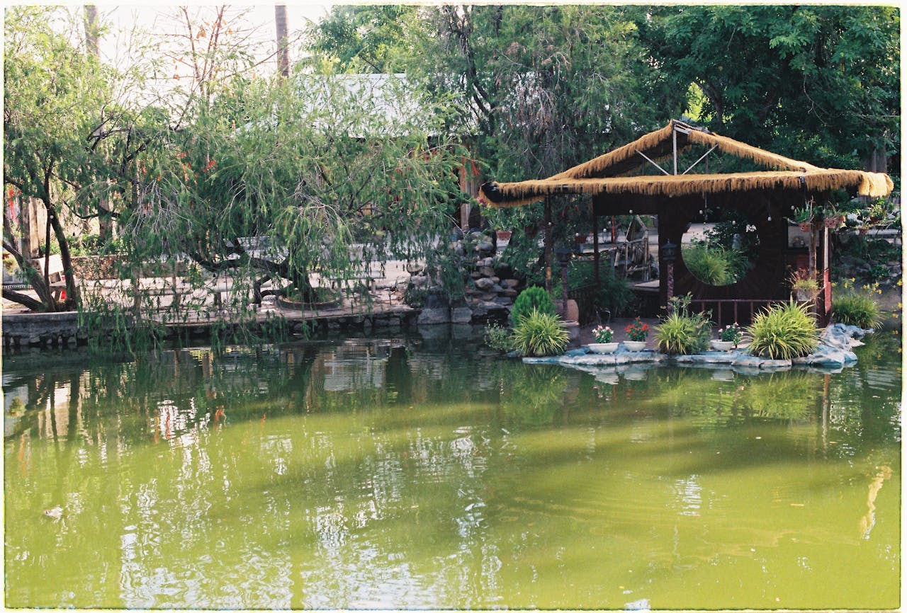 A serene pond with a rustic gazebo surrounded by lush greenery, capturing the essence of tranquility.