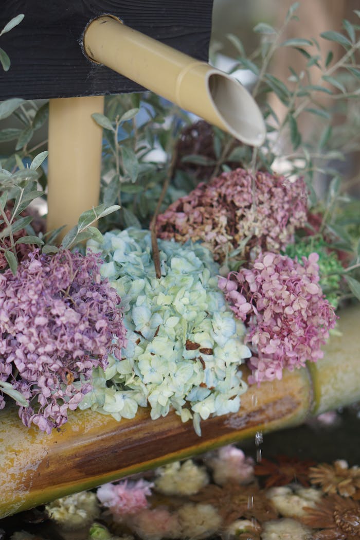 Crafting Captivating Headlines: Your awesome post title goes here 白山公園 紫陽花